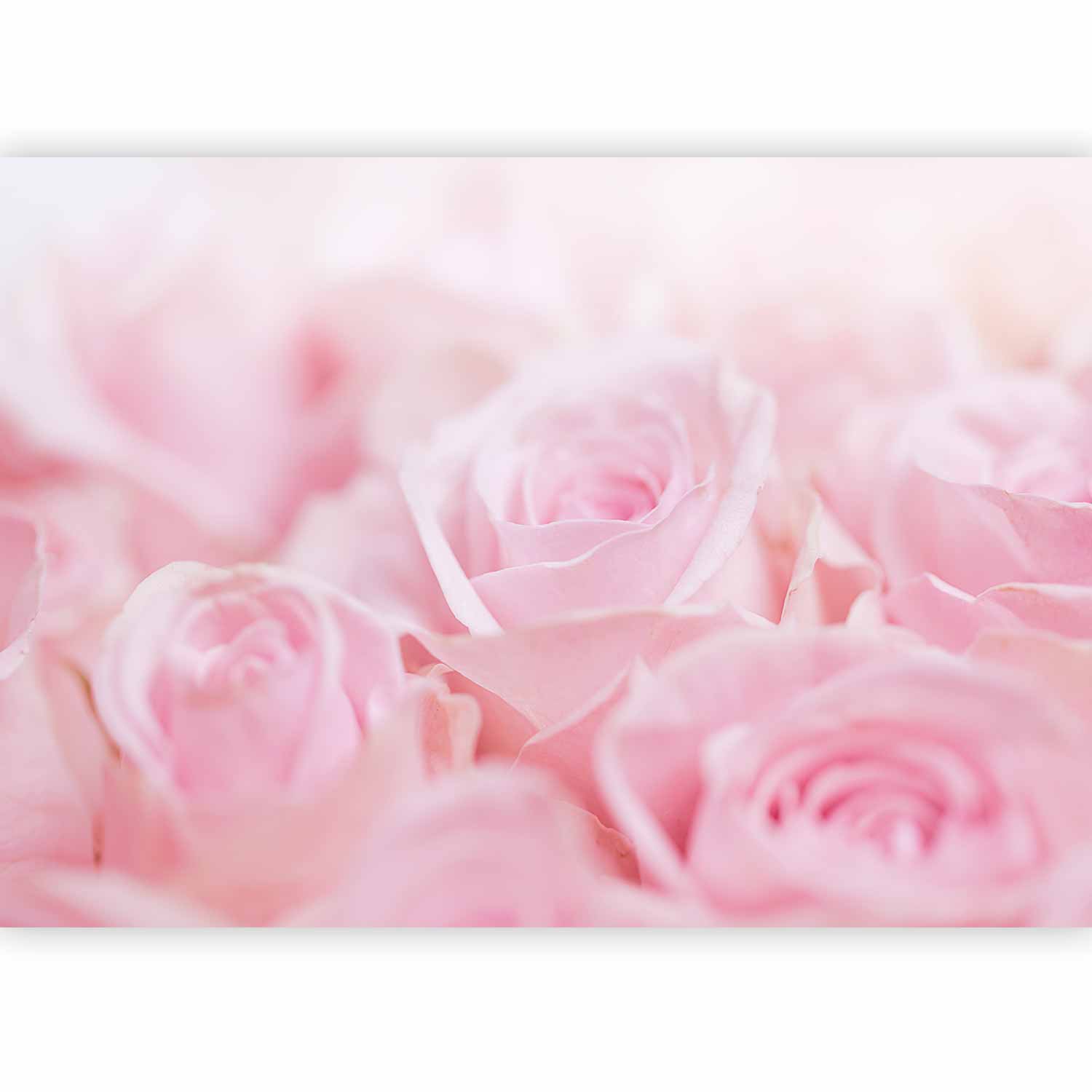 b-B-0471-a-a_ftw-drde-ng1