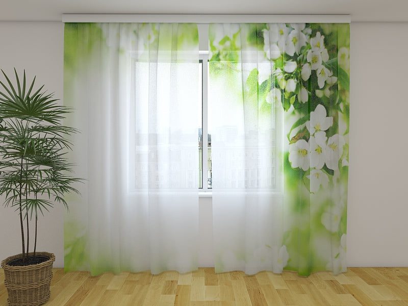 FtBloomingAppleTreeBranches