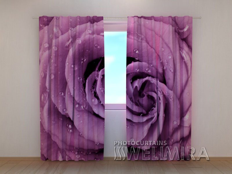 neobiknovennaya_roza_2_w